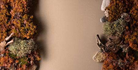 Abstract north nature scene with a composition of lichen, moss, and old snags on a beige background....