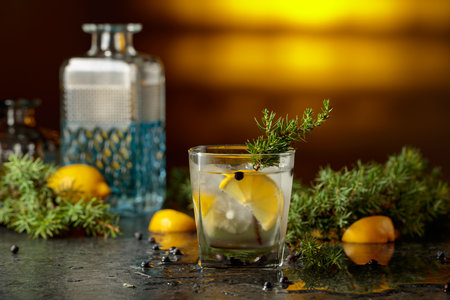 Cocktail gin and tonic with ice and lemon slice, garnished with juniper branch. Yellow backlight. Copy space.の写真素材