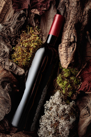 Bottle of red wine against a backdrop of moss and dry driftwoods. A conceptual image with rich and natural textures. Top view, copy space.の写真素材