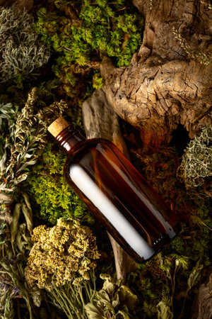 Vintage bottles with tinctures and various dried herbs. Concept of herbal medicine. Top view.の写真素材
