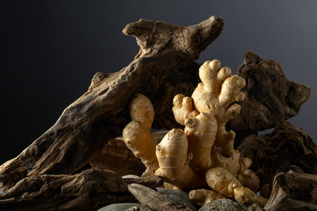 Fresh ginger root with old snags and stones on a black background. Concept of east herbal medicine.