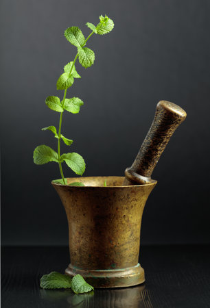 Vintage brass mortar with sprig of mint on a black background. Copy space.の写真素材