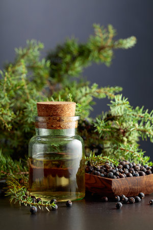 Juniper berry essential oil and branches with berries on a black background. Copy space.の写真素材