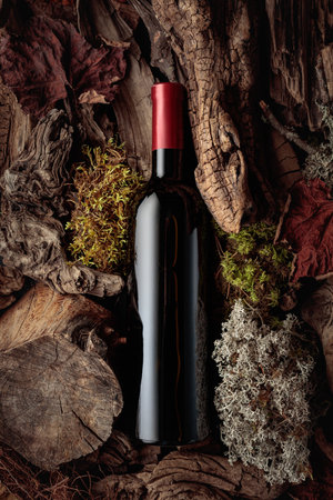 Bottle of red wine against a backdrop of moss and dry driftwoods. A conceptual image with rich and natural textures. Top view, copy space.の写真素材