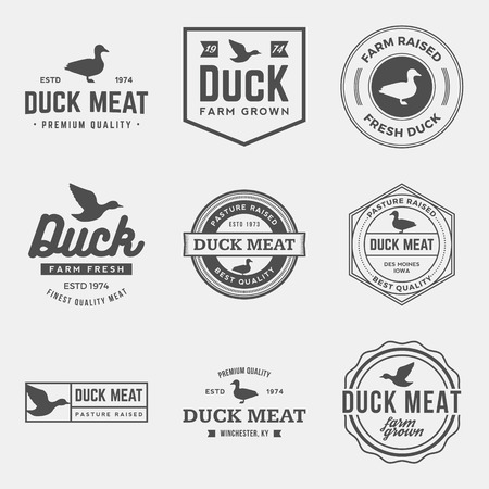 vector set of premium duck meat labels, badges and design elementsのイラスト素材