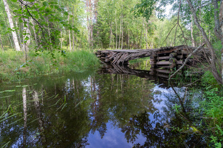 Wooden bridge over the river in the forest. summer landscape. Valaamの写真素材