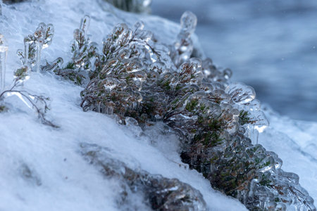 Ice crystals on the ground in the winter. close-up. Valaam, Russia