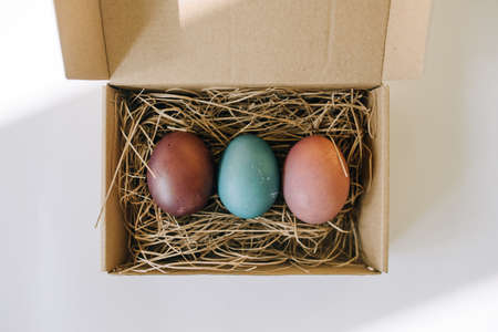 Colored eggs on straw in a boxの写真素材