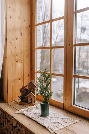 A christmas tree in a pot stands by a large windowの写真素材