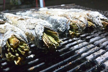 Char grilled lake fish in saltの写真素材
