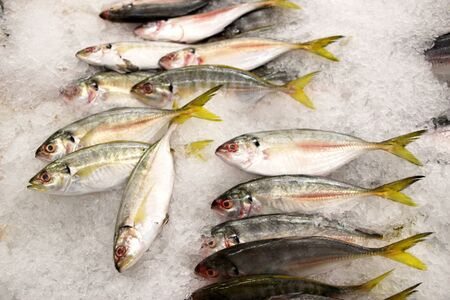 Fresh chilled fish at the supermarket counter 2, Phnom Penh, Cambodiaの写真素材