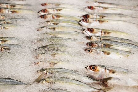 Fresh chilled fish at the supermarket counter 3, Phnom Penh, Cambodia