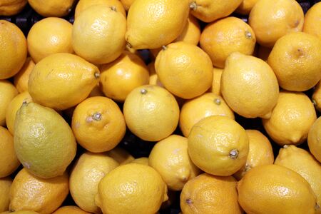 Yellow lemons fruits are sold in the market, Phnom Penh, Cambodia.の写真素材