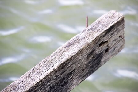 Gray board with a nail on a background of water, jungleの写真素材