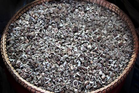 1 Moringa seeds sold on the marketの写真素材