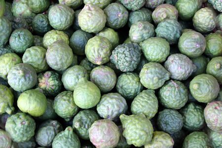 Green Bergamot Fruits Citrus bergamiaの写真素材