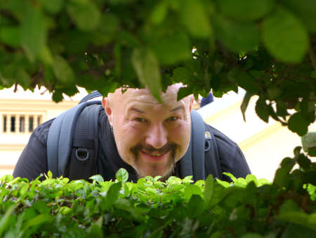 Smiling man in a T-shirt looks between the branches of a treeの写真素材