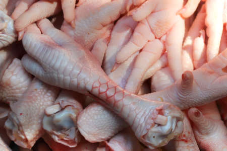 Fresh chicken legs are sold in the Phnom Penh market.の写真素材
