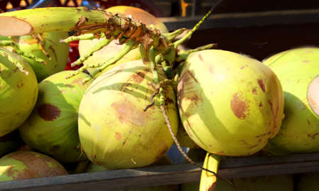 A bunch of large fresh coconuts lies in the market, Cambodiaの写真素材