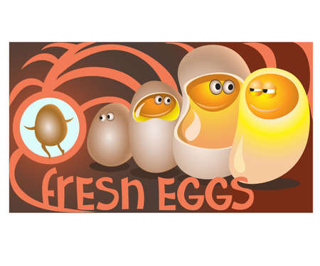 Fresh eggs sit in chicken, ready to communicate.vectorのイラスト素材