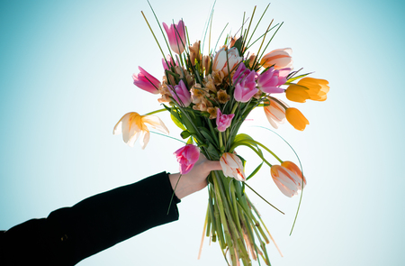 human hand holding a bouquet of tulips in the streetの写真素材