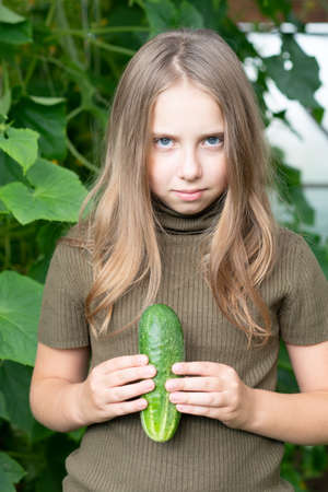 little girl holding a green cucumber in her hands, standing in a green sweaterの写真素材