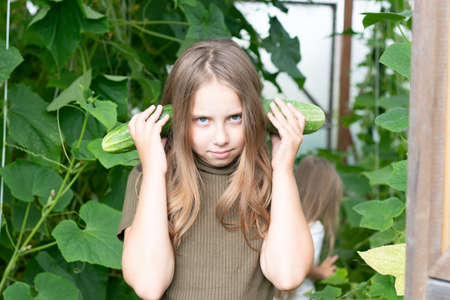 little girl holding a green cucumberの写真素材