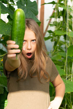 little girl holding a green cucumberの写真素材
