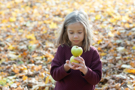 little girl standing outside holding apples in her handsの写真素材