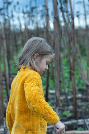 portrait of a little girl in a yellow sweater in dry grassの写真素材