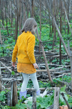 portrait of a little girl in a yellow sweater in dry grassの写真素材