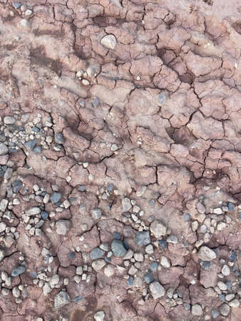 texture of brown dry ground crackedの写真素材