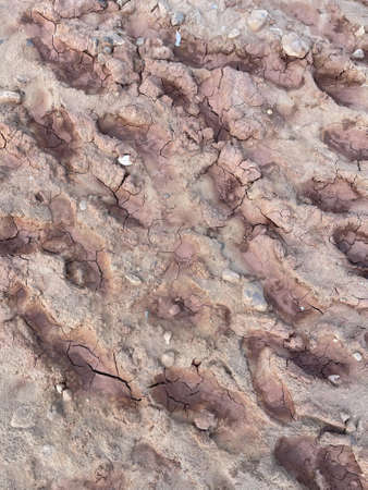 texture of brown dry ground crackedの写真素材