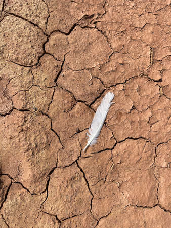 texture of brown dry ground crackedの写真素材