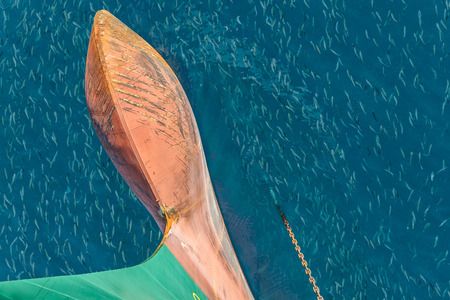 Top view from the bow of the anchored vessel at school of fish in the waterの写真素材