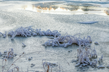 Winter landscape of frost covered Kymi river near Kotka, Finland.の写真素材