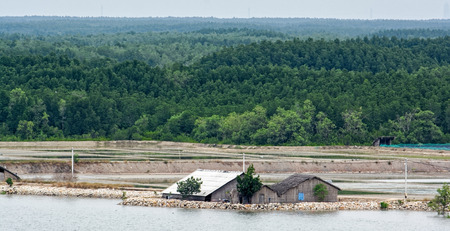 Traditional field of farm for sea salt developing along Song Long Tau (Long Tau river) shore in Vietnam.の写真素材