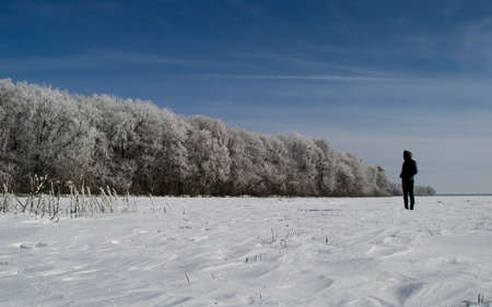 A man standing at the winter forestの写真素材