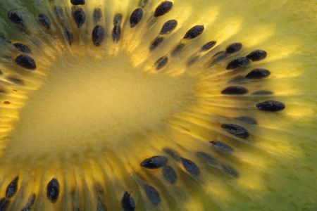 seeds of kiwi photographed in a backlitの写真素材
