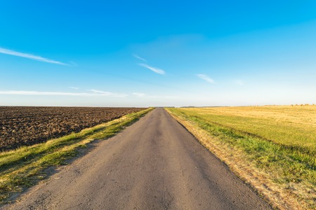 Asphalt road that passes through the field and going beyond the horizonの写真素材