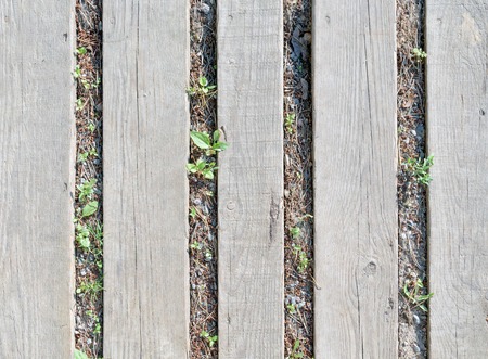 Several gray wooden planks, lying on the groundの写真素材
