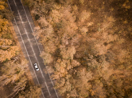 Aerial view of road in beautiful autumn forest at sunset. Beautiful landscape with empty rural road, trees with green, red and orange leaves. Highway through the park. Top view from flying droneの写真素材