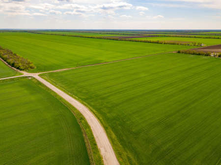 Colorful Farmland and Scenic Countryside. Aerial Drone view Russia.の写真素材