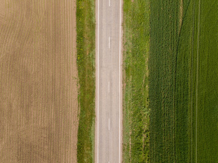 Aerial top down drone photo of country road among the fields.の写真素材