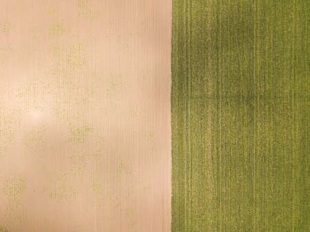 Aerial view of farmland. Taken from the air, looking down on a green field in summer. Rostov region.の写真素材