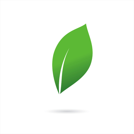 eco green leaf logoのイラスト素材