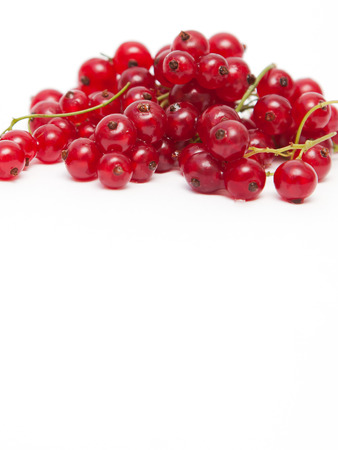 Red currant on white backgroundの写真素材