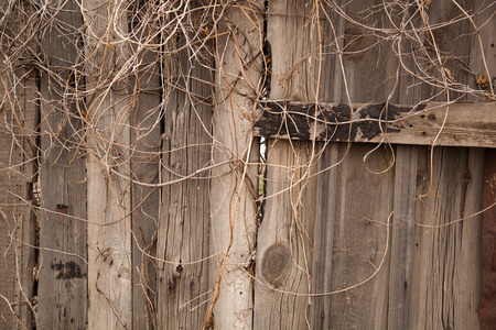 old wooden cracked peeling wallの写真素材