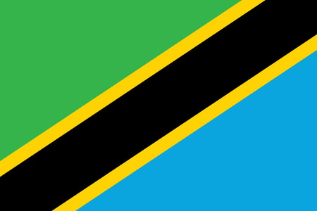 Flag of Tanzania, brush stroke background.のイラスト素材
