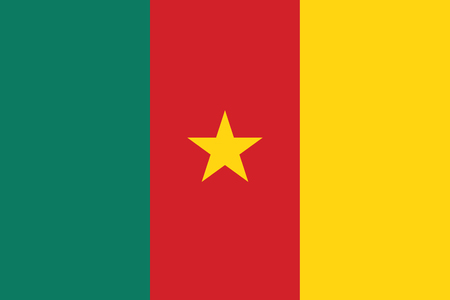A flag of Cameroon.のイラスト素材